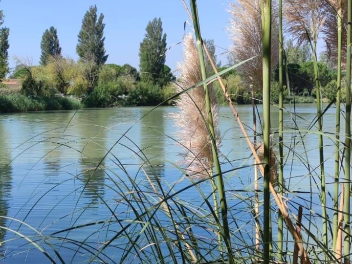 Appartement Residence De Vacances Les Hameaux De Camargue 阿爾勒 外观 照片